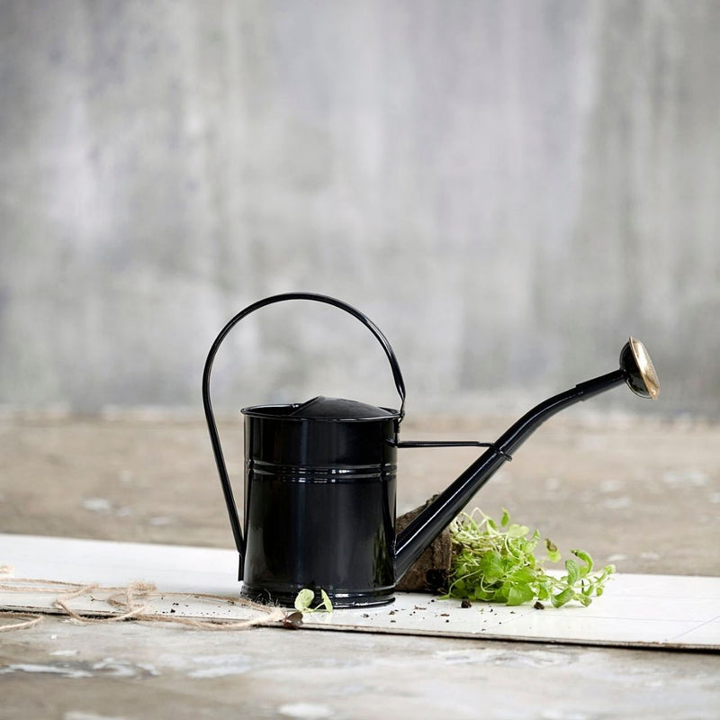 Køb Vandkande Sort 2 liter | 329,95 | Fri fragt over 149 kr. | Hurtig levering | Dag til dag levering | Kande, Blomsterkande, Gartnerkande, Blomstervandkande, Blomster vandkande, Indendørs, Udendørs, Indendørs vandkande, Drivhusplanter, Blomsterkrukker